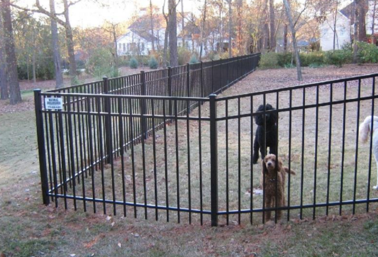 fence-8 fence-8